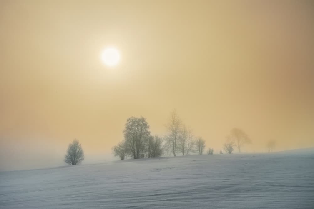 Golden Winter Morning by Wei (David) Dai — canvas wall art