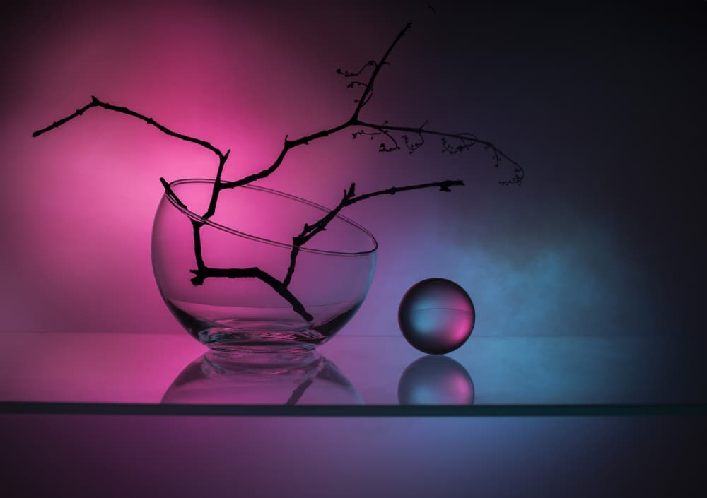 Branches Glass Sphere Glow by Evgeniy Popov — canvas wall art