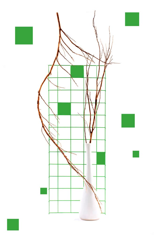Minimalist Branches Vase by Brig Barkow — canvas wall art