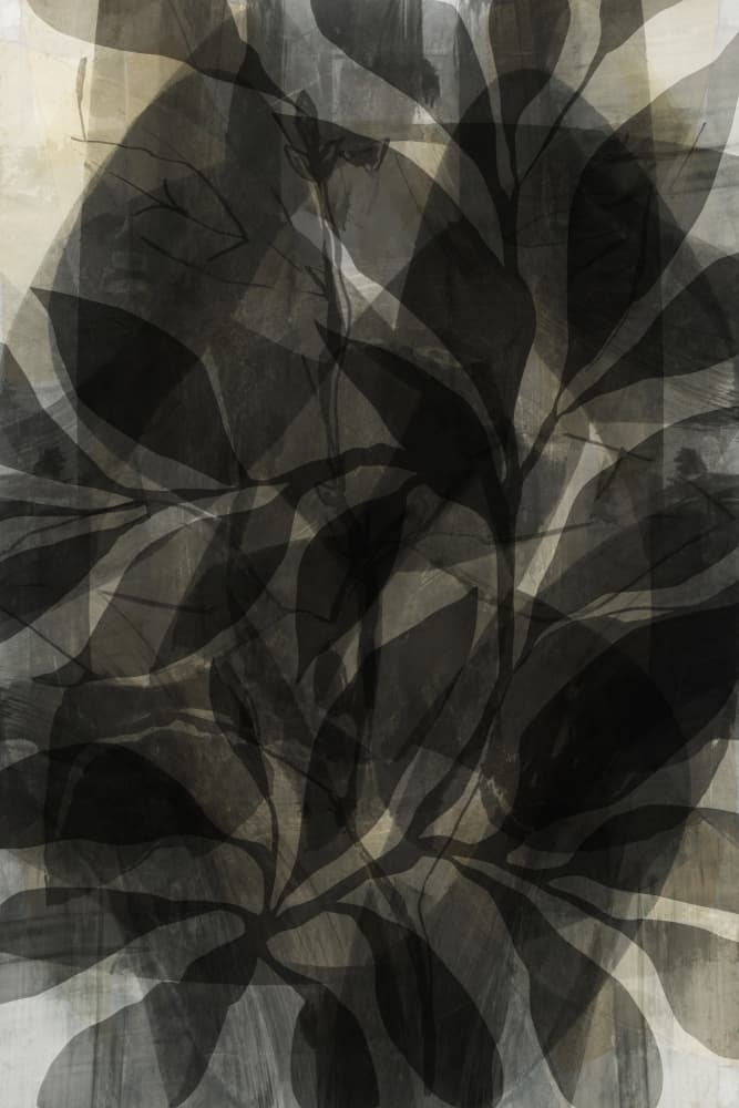 Dark Layered Foliage by cartissi — canvas wall art