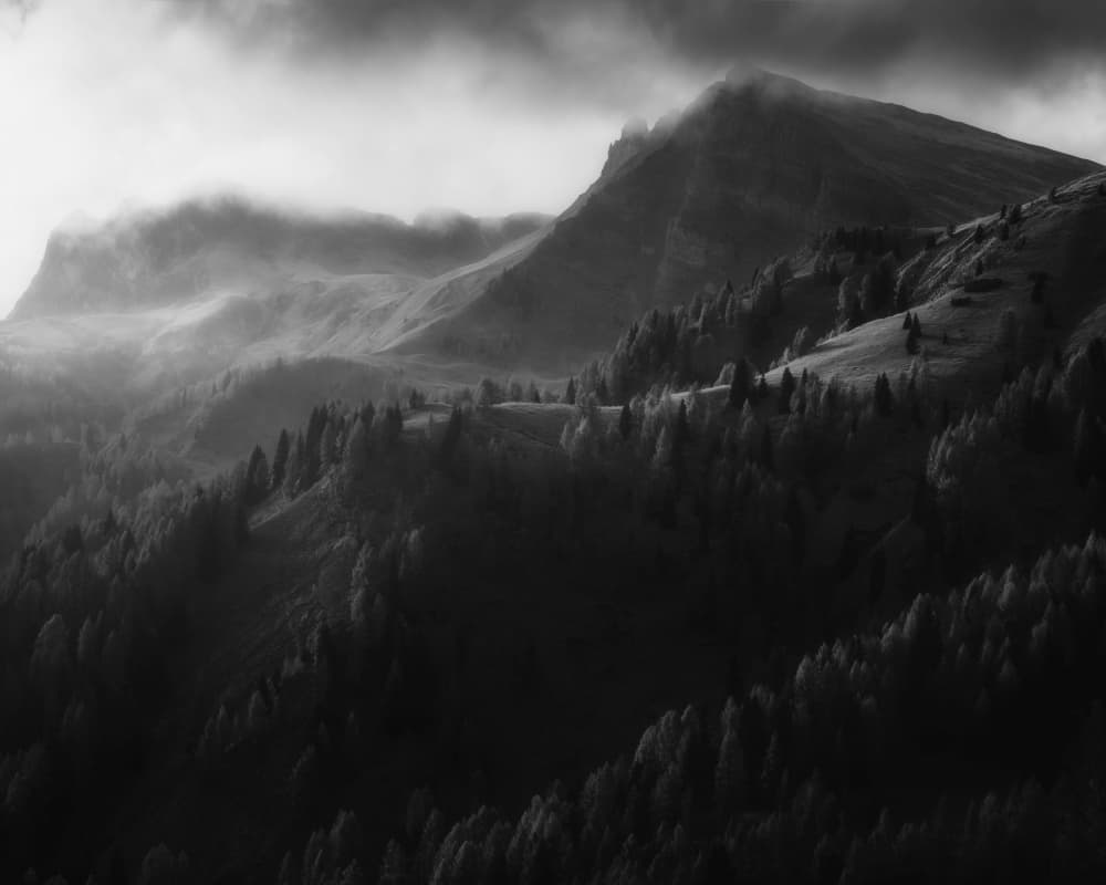 Misty Mountain Forest by Thomas de Franzoni — canvas wall art