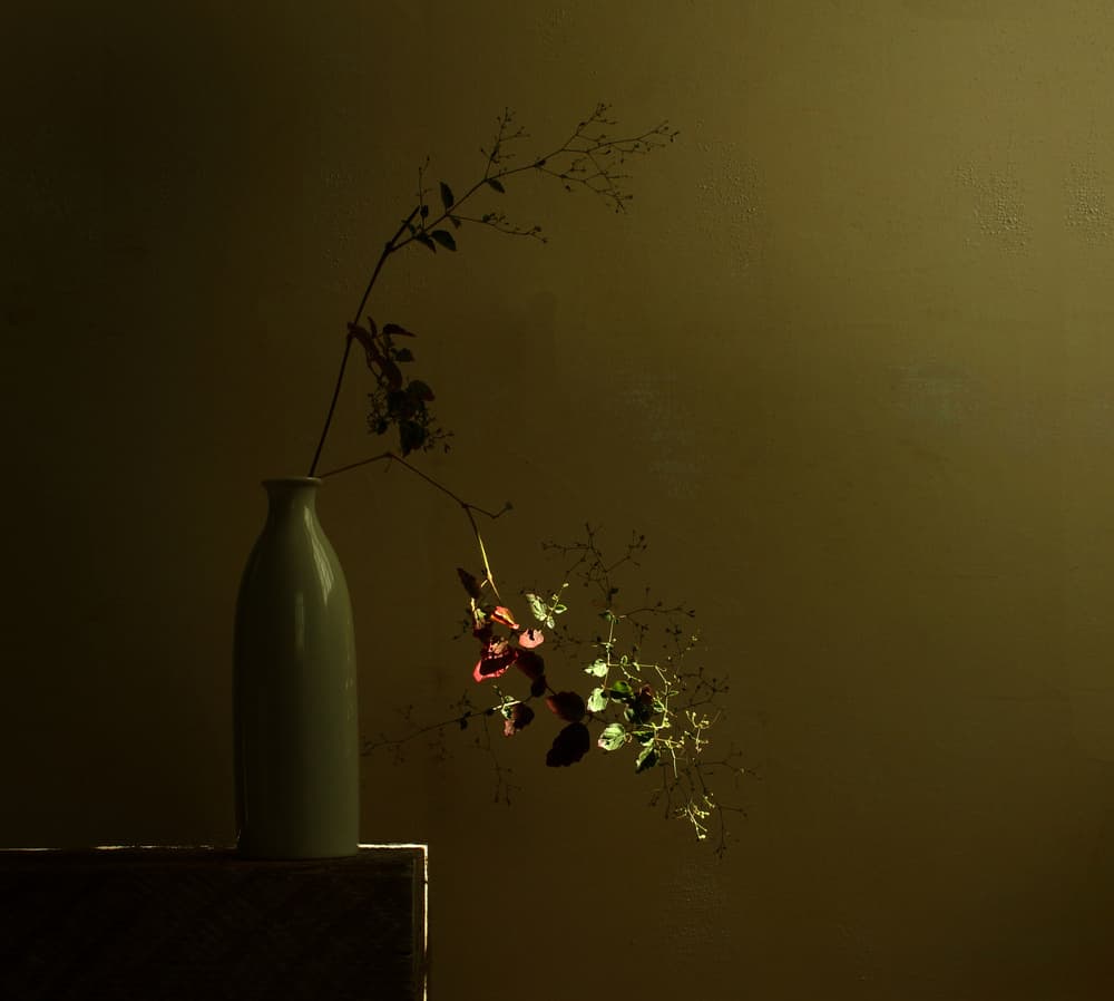 Moody Botanical Still Life by Margaret Halaby — canvas wall art