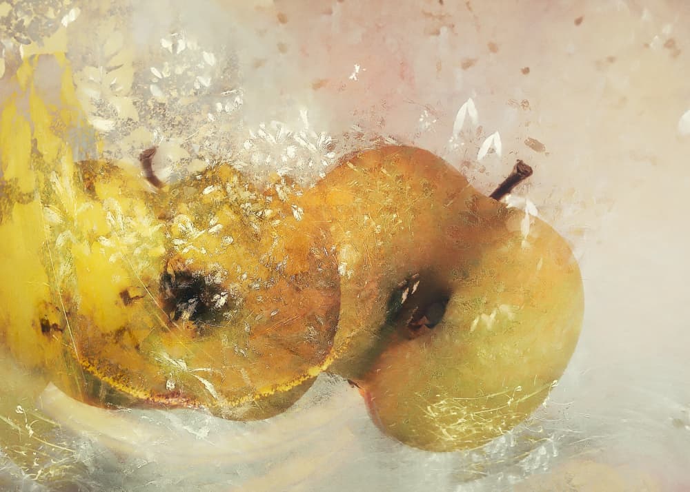 Two apples by Nel Talen — canvas wall art