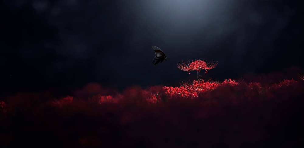 Red Flowers Night Flight by Takashi Suzuki — canvas wall art