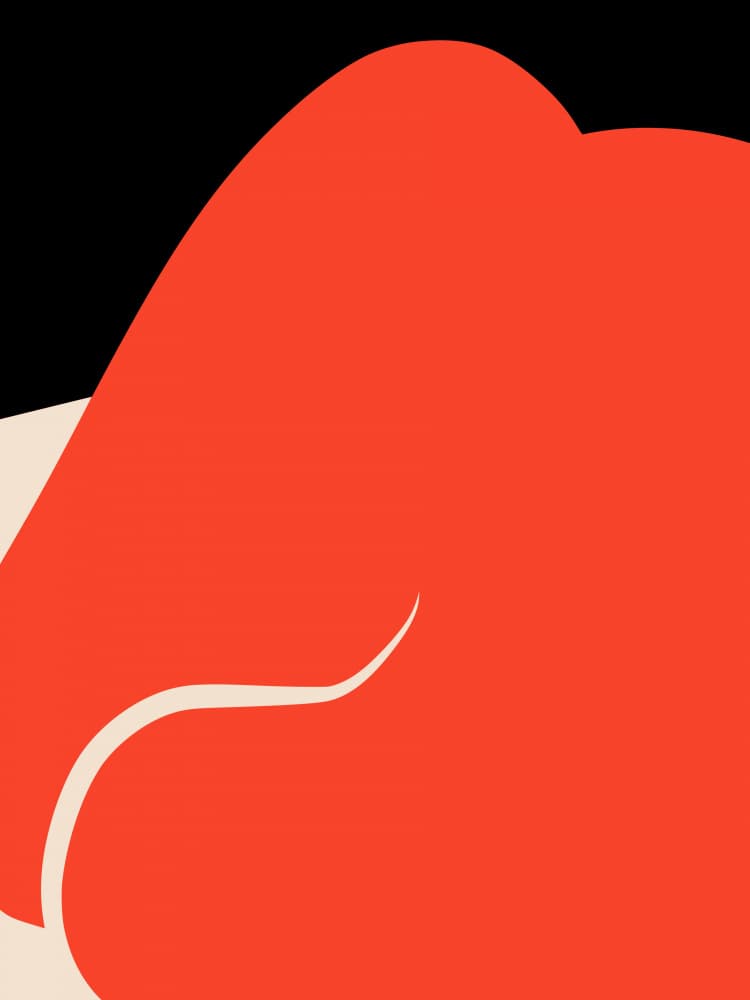 Sensual Body Curves by Little Dean — canvas wall art