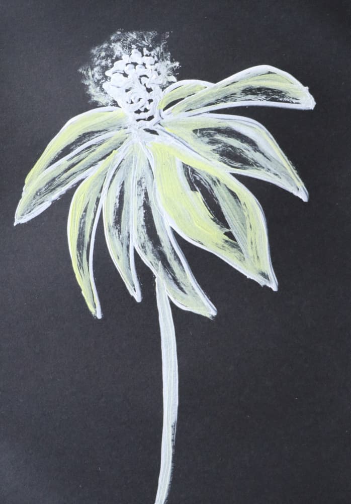 Delicate Botanical Bloom by Santhosh ch — canvas wall art