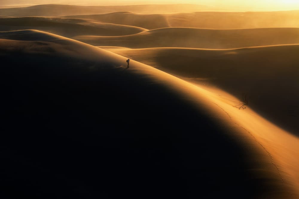 Solitary Desert Journey by Babak Mehrafshar — canvas wall art