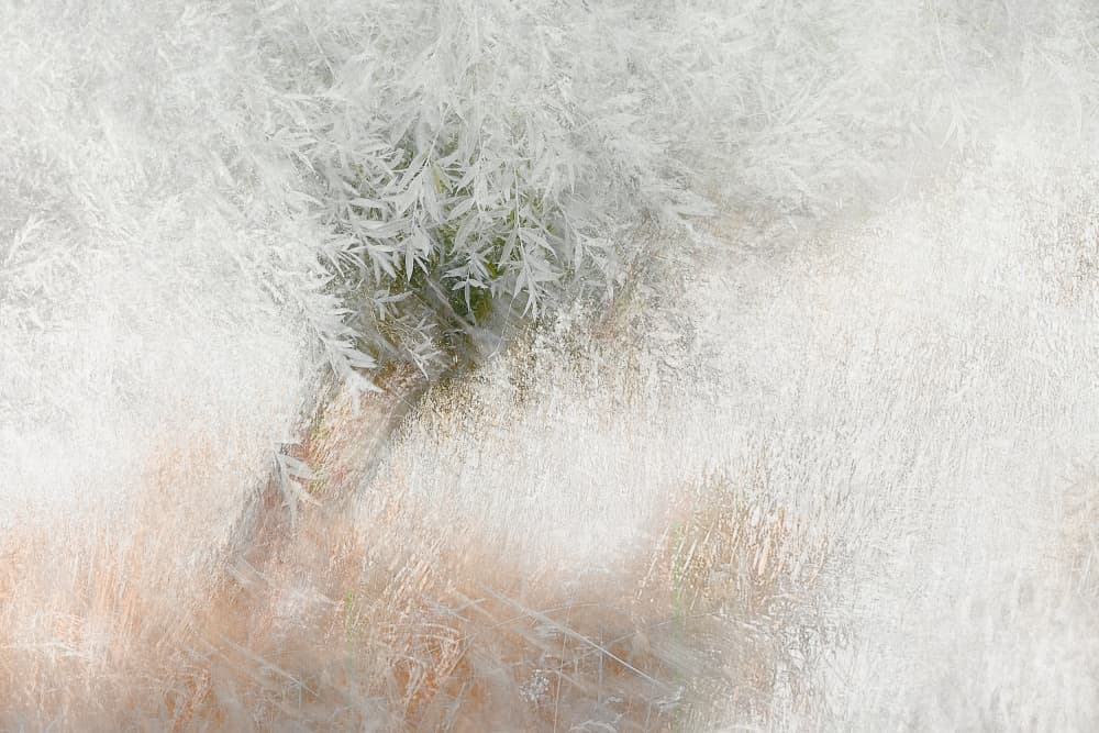 Soft and gentle by Nel Talen — canvas wall art