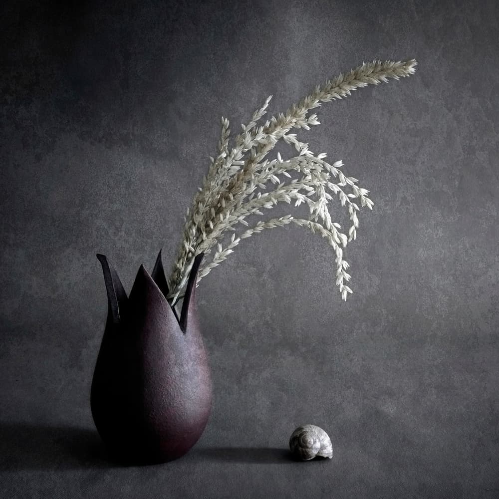 Dark Botanical Still Life by Cicek Kiral — canvas wall art