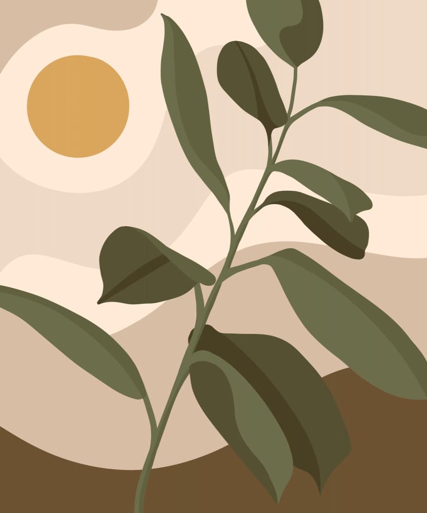 Earthy Desert Plant by Kristian Gallagher — canvas wall art