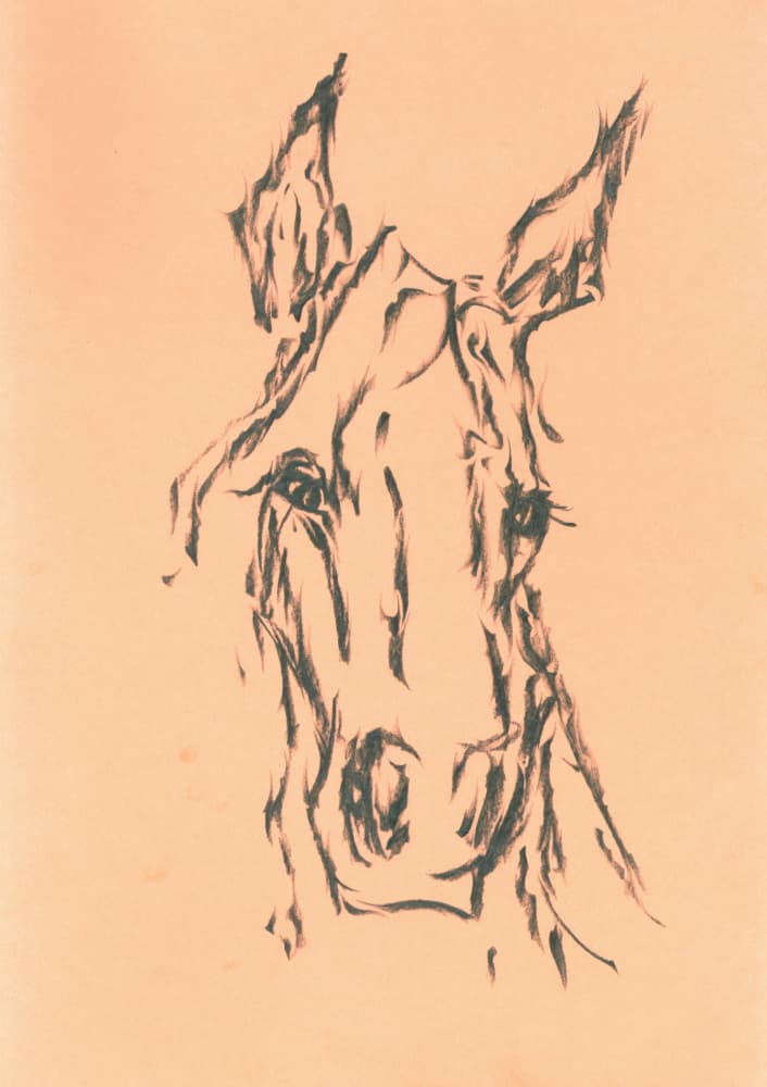 Elegant Horse Head Sketch by Kulik — canvas wall art