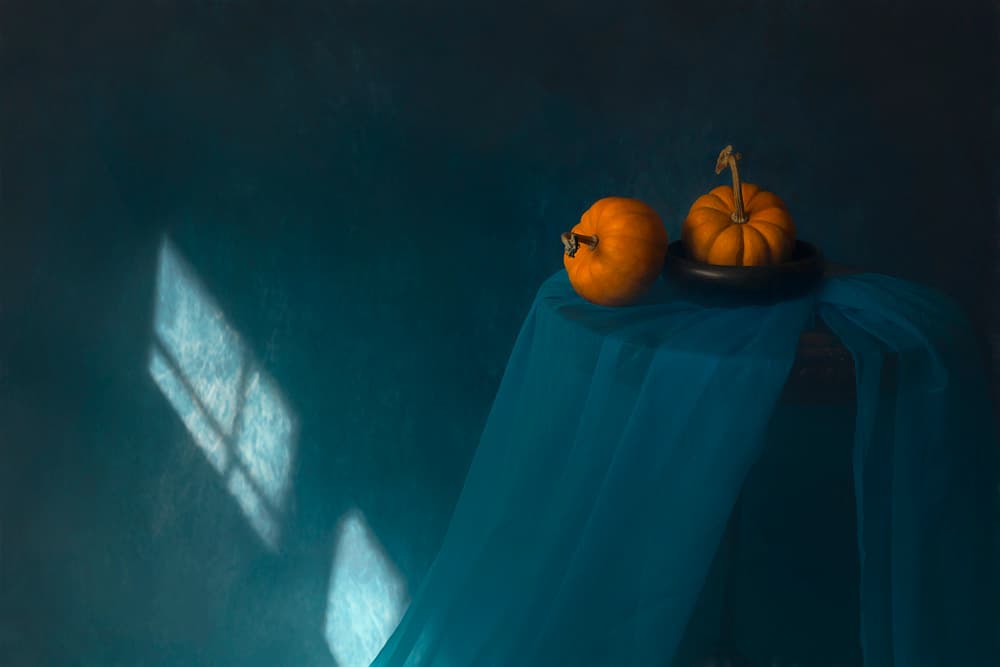 Autumn Pumpkins Window Light by Lydia Jacobs — canvas wall art