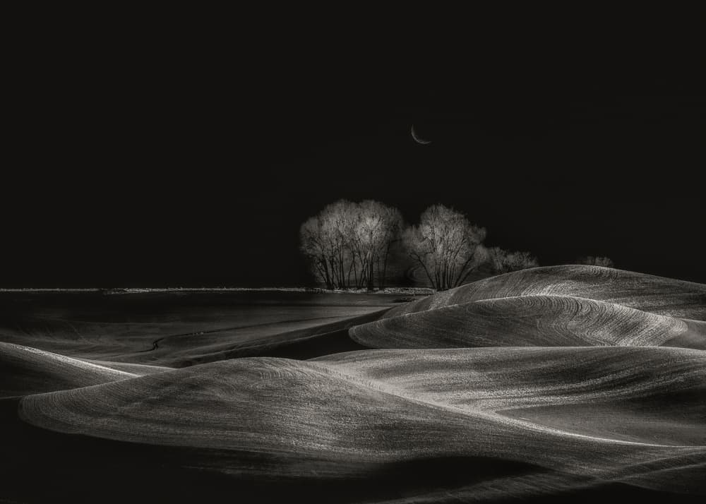 Crescent Moon Rolling Hills by Leechee Z — canvas wall art