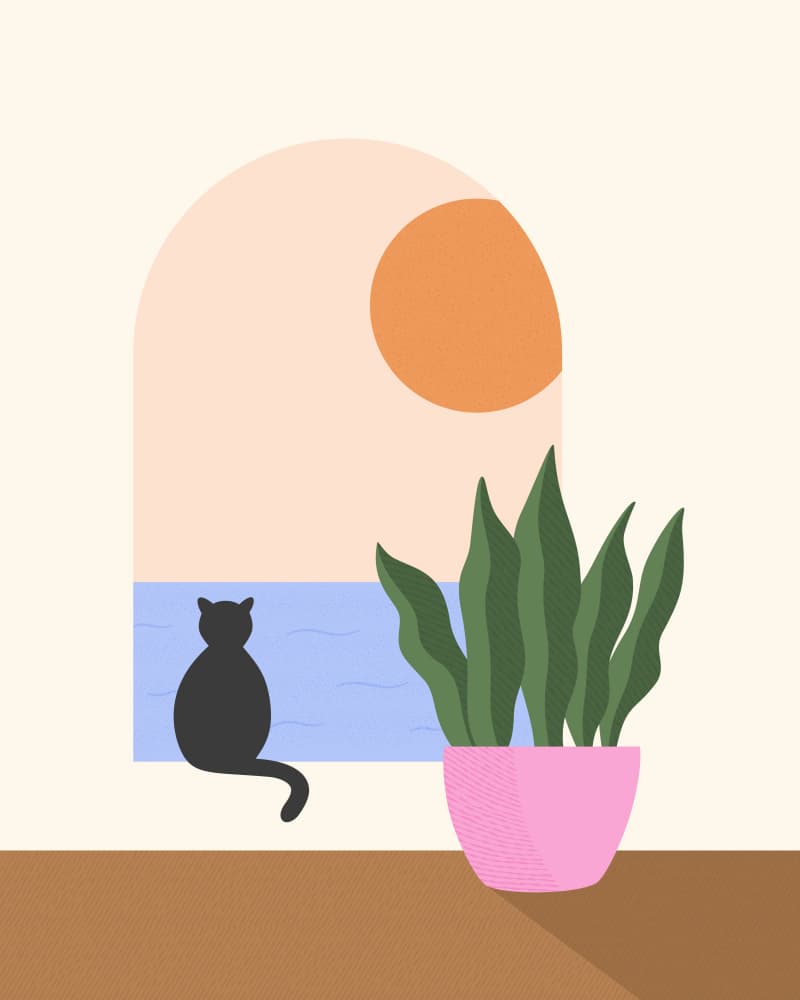Cat's Sunny Window View by Artprink — canvas wall art