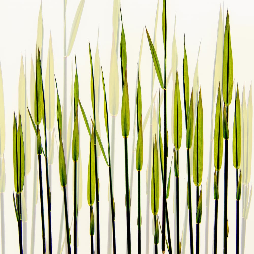A new beginning by Nel Talen — canvas wall art