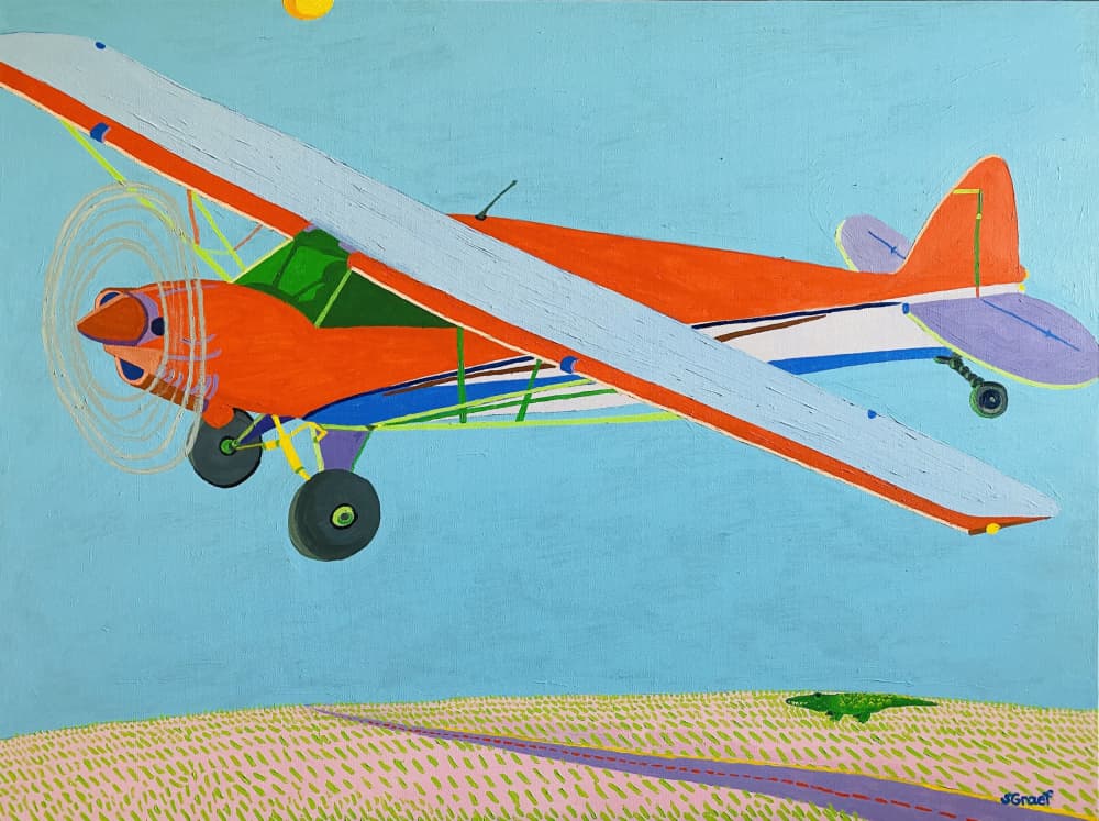 In the Air by Sue Graef — canvas wall art