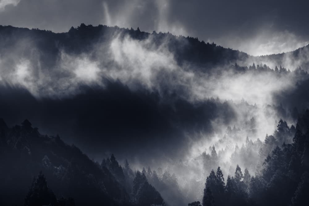 Misty Mountain Forest by 市岡弘光 — canvas wall art