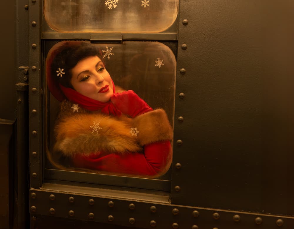 Elegant Lady Train Window by Rong Wei — canvas wall art