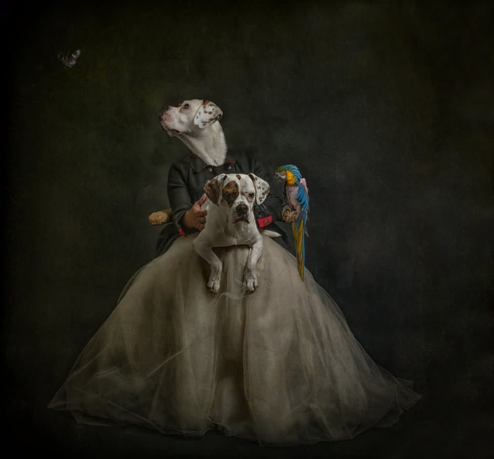 Noble Canine Portrait by Natascha Worseling — canvas wall art