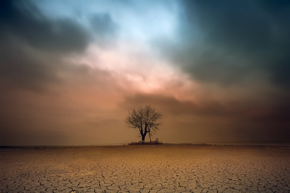 Barren Tree Dramatic Sky by Piotr Krol (Bax) — canvas wall art