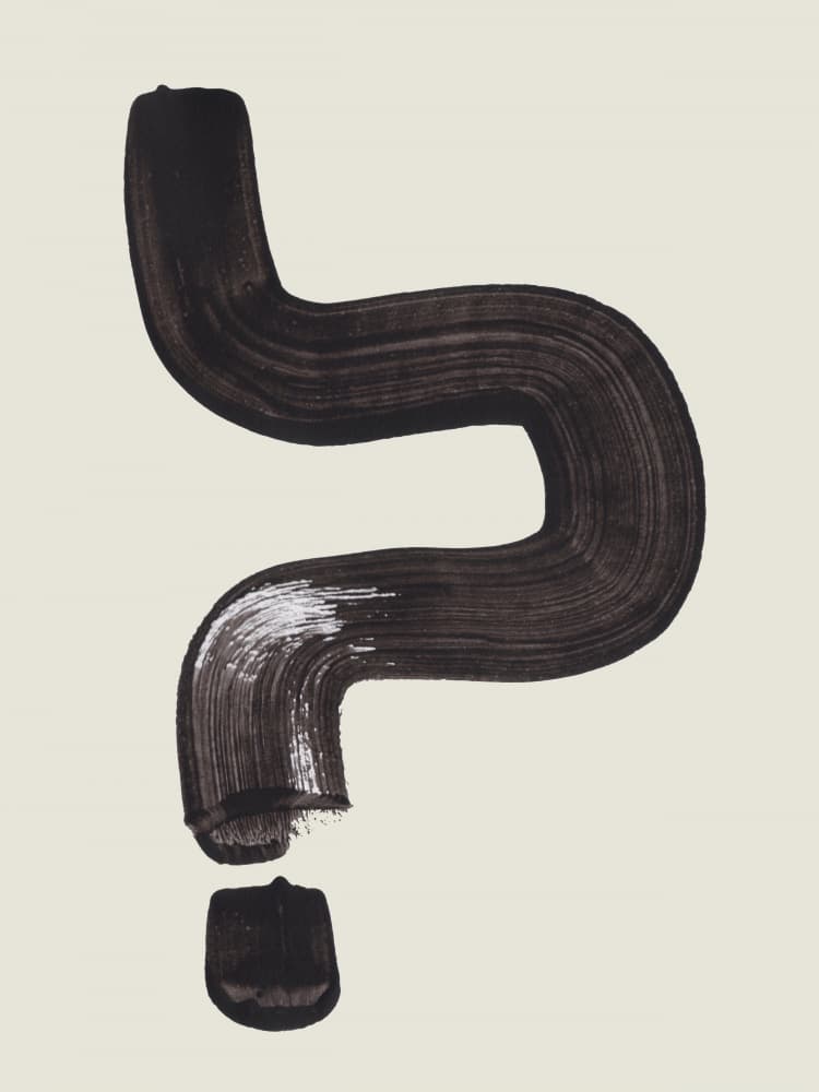 Bold Query Mark by Ejaaz Haniff — canvas wall art