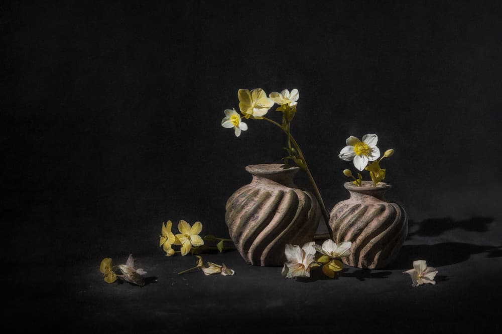 Dark Floral Still Life by Leechee Z — canvas wall art