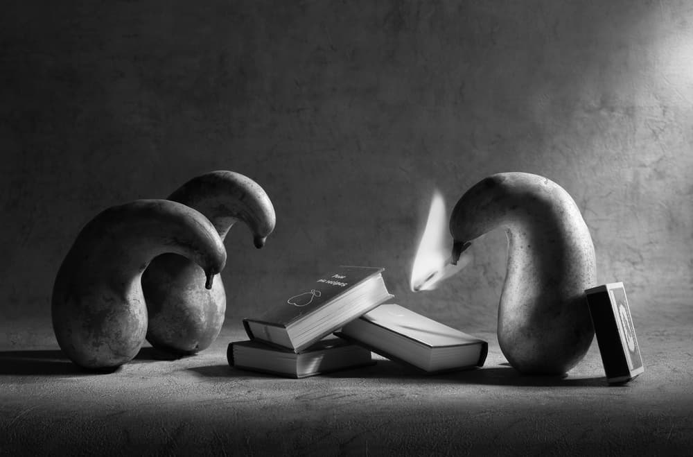 Pears Burning Books by Victoria Glinka — canvas wall art