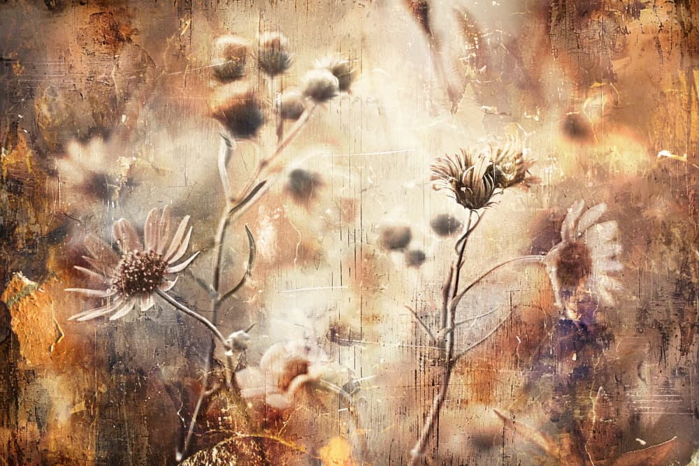 Warm Dried Flowers by Rafal Kulik — canvas wall art