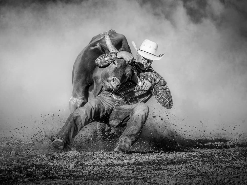 Bull Riding Action by Frank Ma — canvas wall art