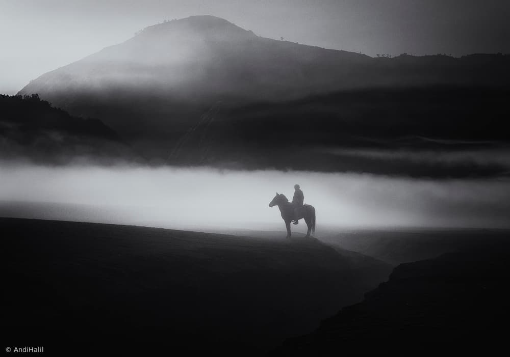 Lone Rider In Mist by Andi Halil — canvas wall art