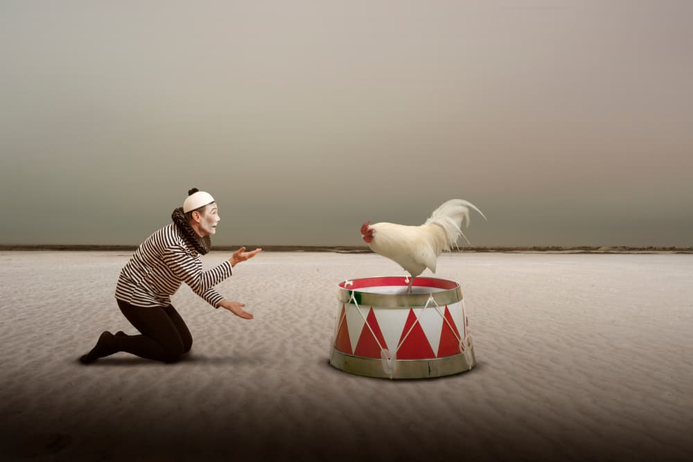 Surreal Mime and Rooster by Christine von Diepenbroek — canvas wall art