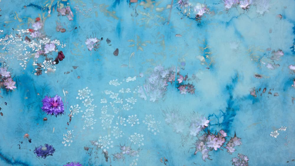 Floating Blue Flowers by Miriam Stayte — canvas wall art