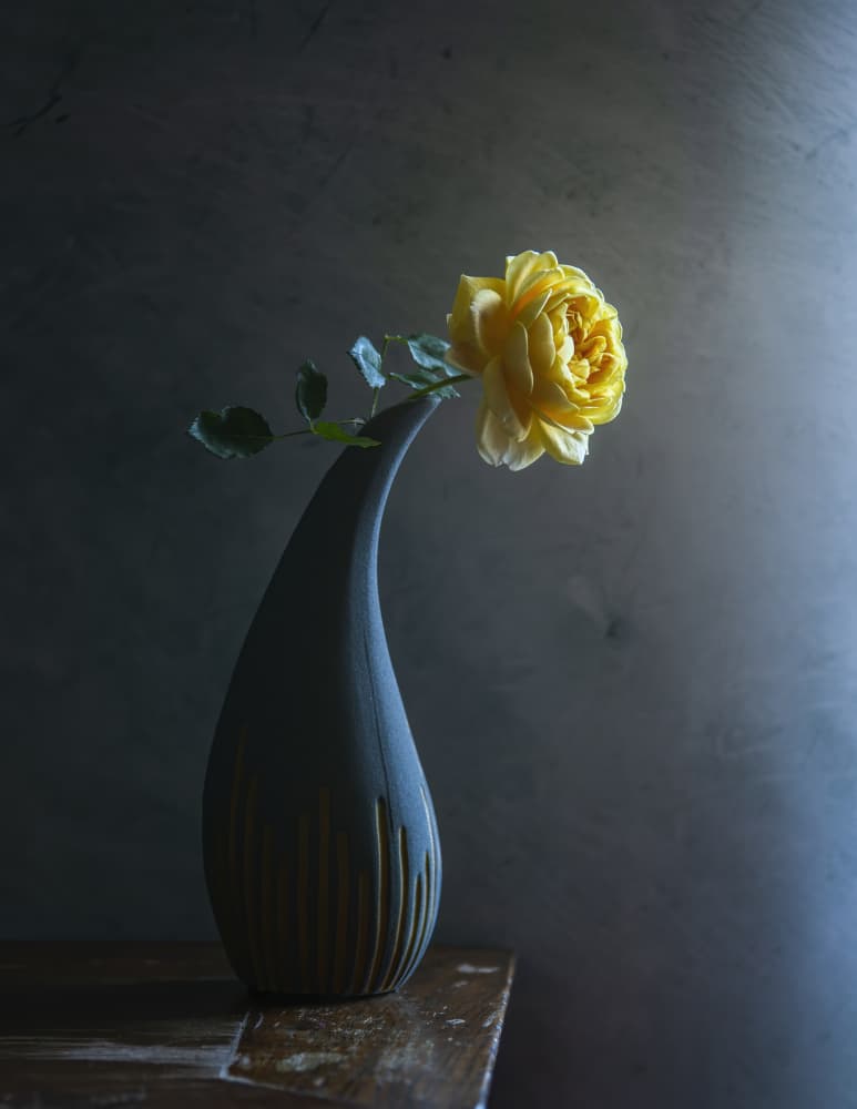Moody Yellow Rose by Judy Tseng — canvas wall art