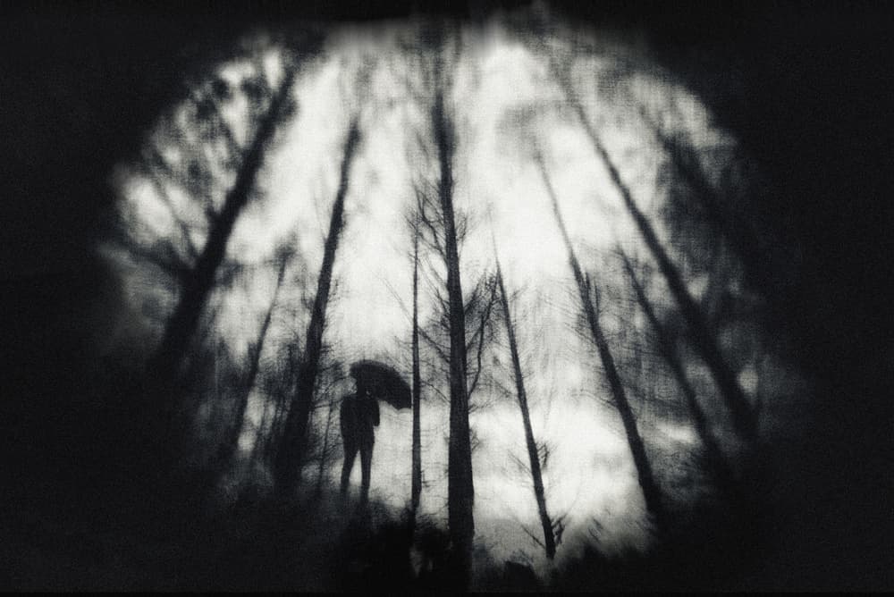 Solitary Figure in Dark Forest by Teruhiko Tsuchida — canvas wall art