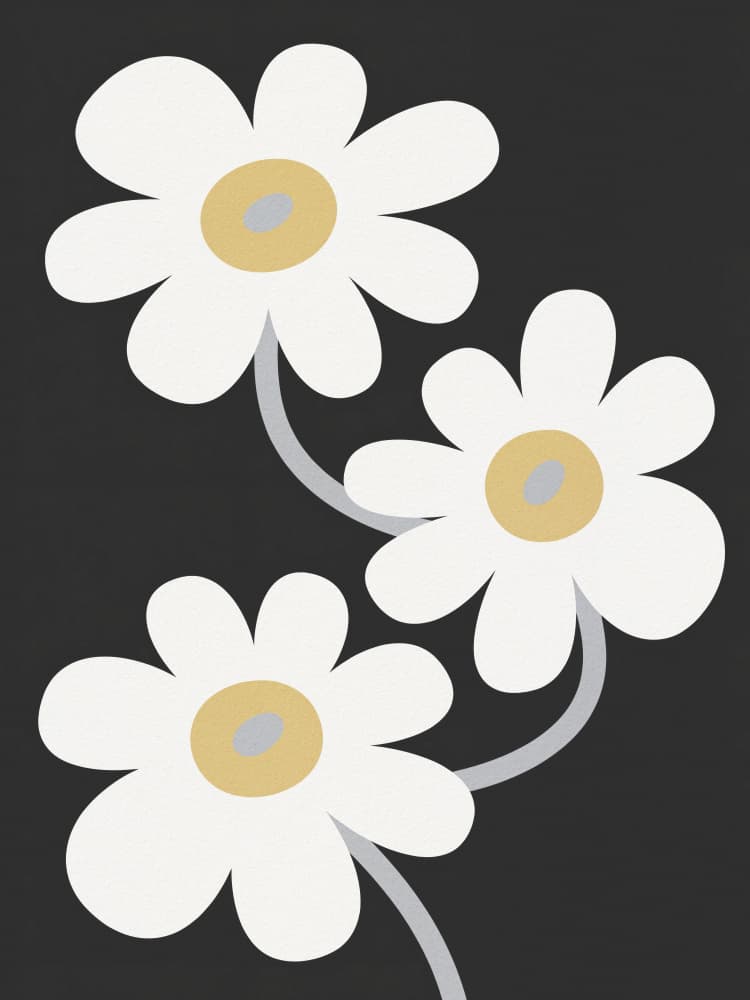 Minimalist White Daisies by Andreas Magnusson — canvas wall art