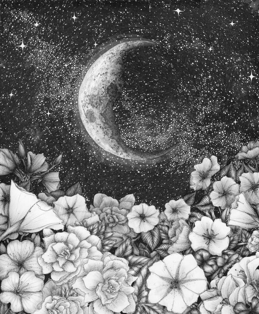 Crescent Moon Garden by EC Mazur — canvas wall art