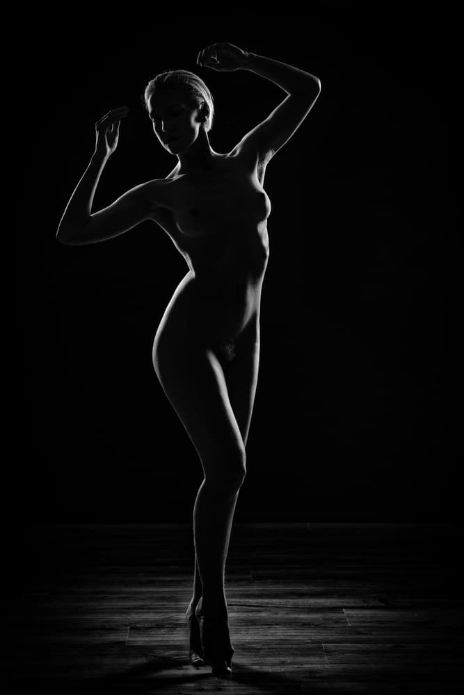 Elegant Silhouette Nude by Luc Stalmans — canvas wall art
