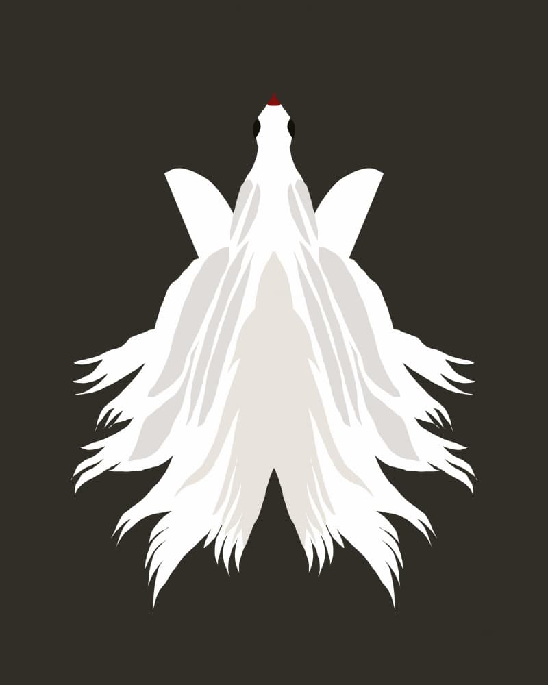 Elegant White Chicken by Josie George — canvas wall art