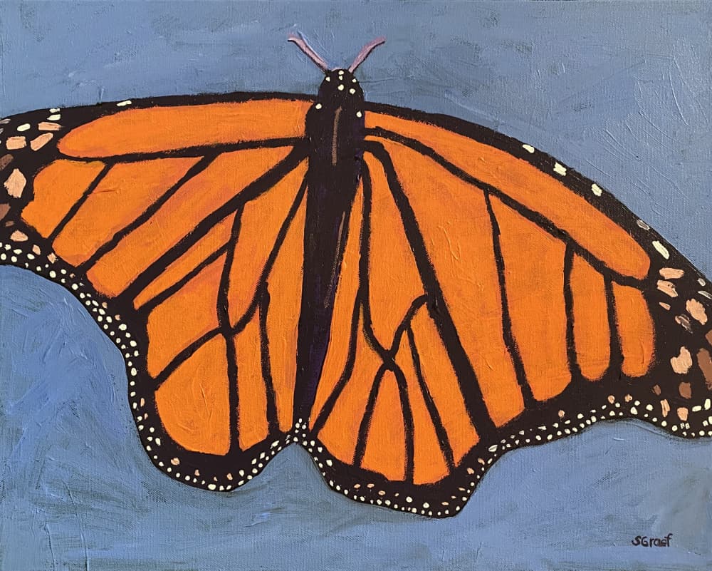 Butterfly by Sue Graef — canvas wall art