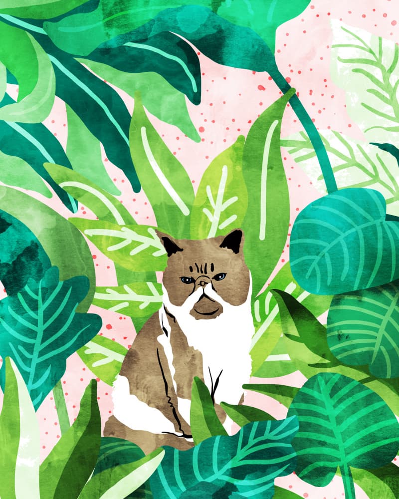 Grumpy Jungle Cat by Uma Gokhale — canvas wall art