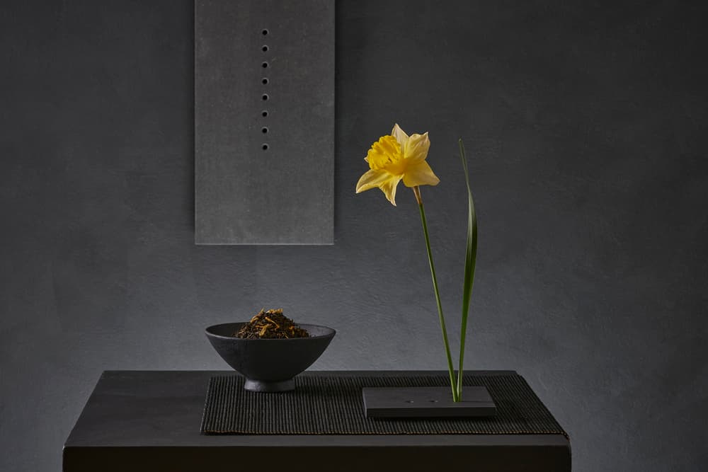Zen Daffodil Bloom by Christophe Verot — canvas wall art