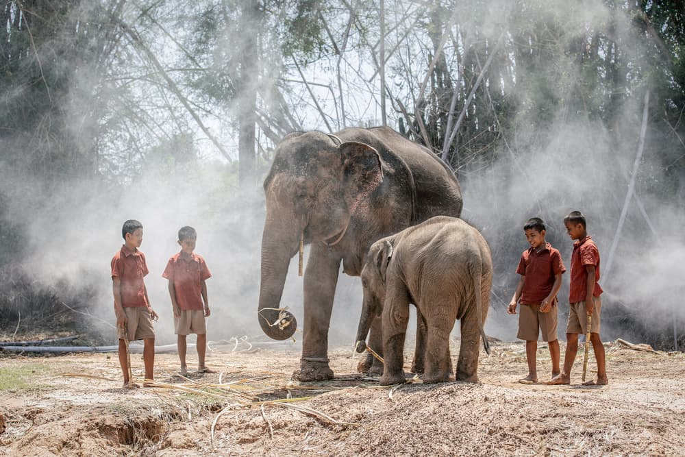 Children and Gentle Giants by ADIREK M — canvas wall art