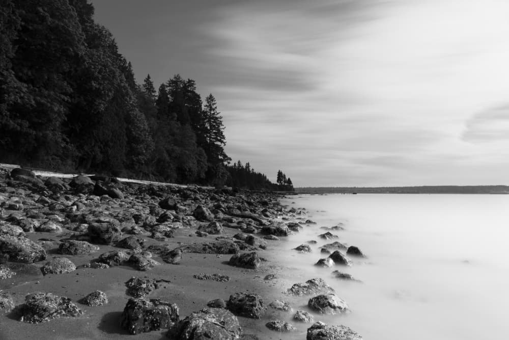 Serene Coastal Landscape by Lynann Colligan — canvas wall art