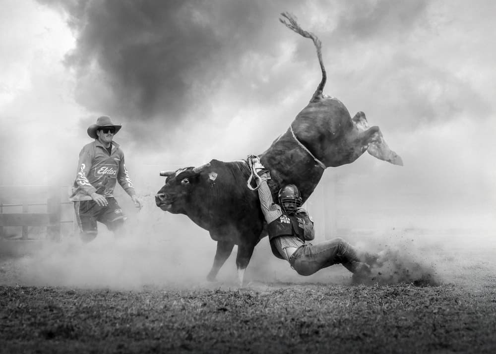 Intense Rodeo Action by Frank Ma — canvas wall art