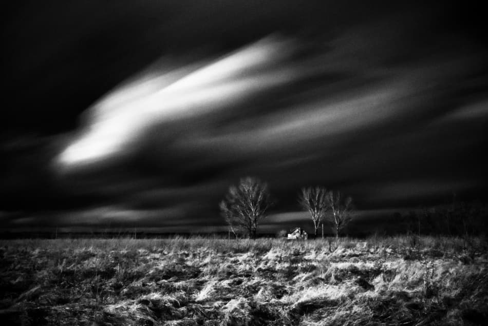 Bare Trees And Moving Clouds by Codrin Lupei — canvas wall art