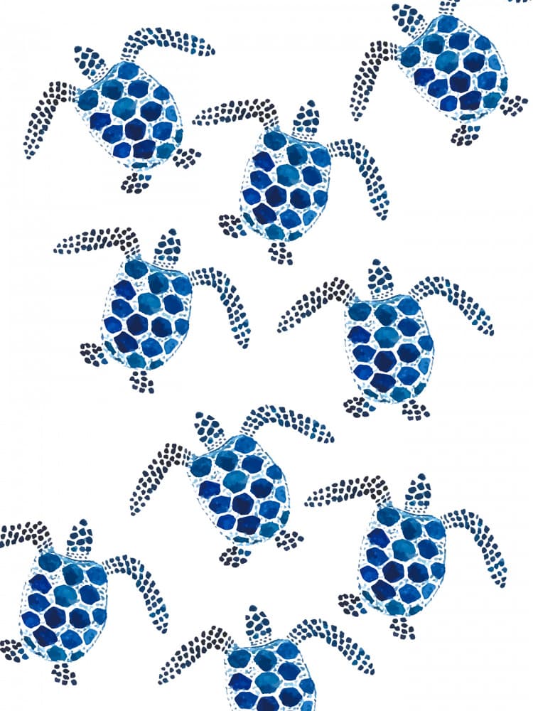 Swimming Blue Turtles by Elizabeth C — canvas wall art