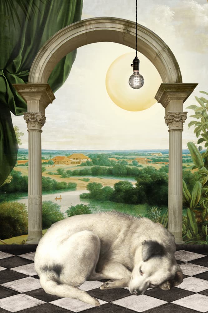Serene Dog Archway Dream by Marja van den Hurk — canvas wall art