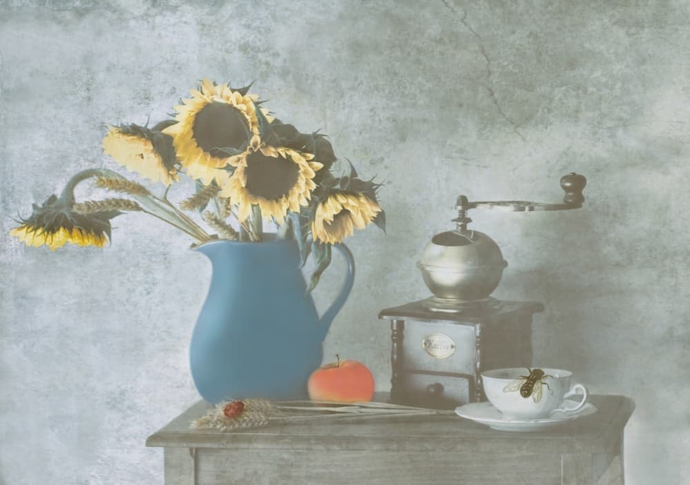 Rustic Sunflower Still Life by Delphine Devos — canvas wall art