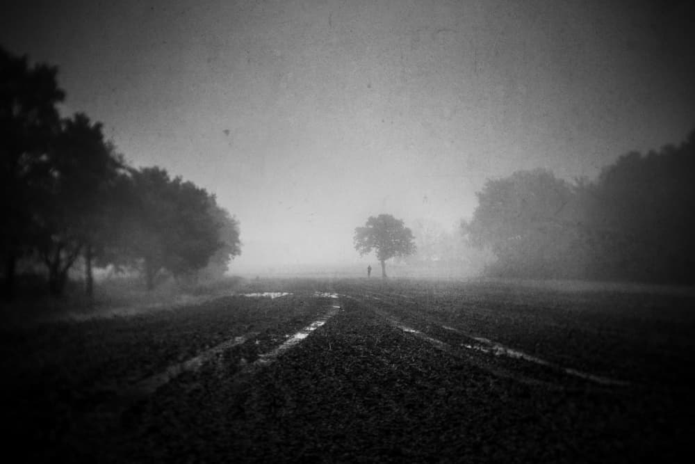 Misty Field Path by Adam Dauria ☂ — canvas wall art