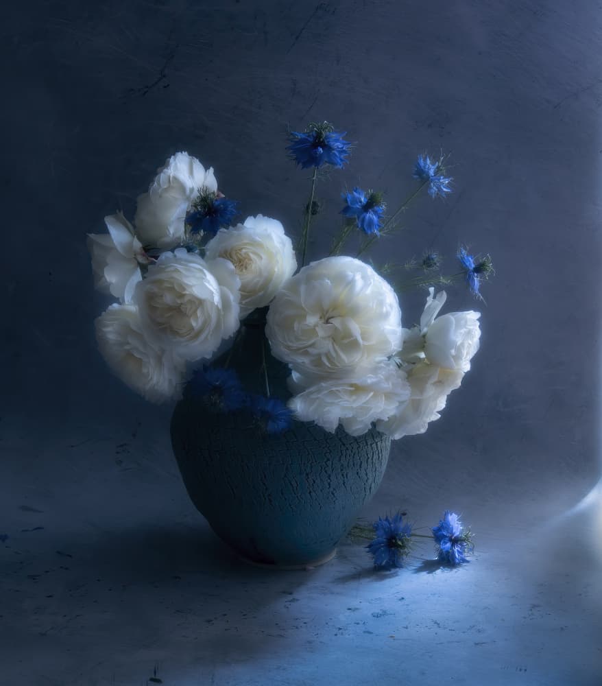 Dark Blue Floral Still Life by Judy Tseng — canvas wall art